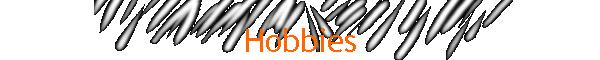 Hobbies