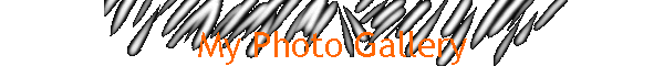 My Photo Gallery